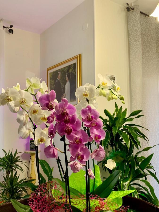 B&B Mariele บาโรนิสซี ภายนอก รูปภาพ